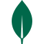 MongoDB icon