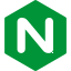Nginx icon